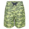 Kids Babyfair Swimwear | Toddler Boys' Striped Shark-Print Swim Shorts Lime Green