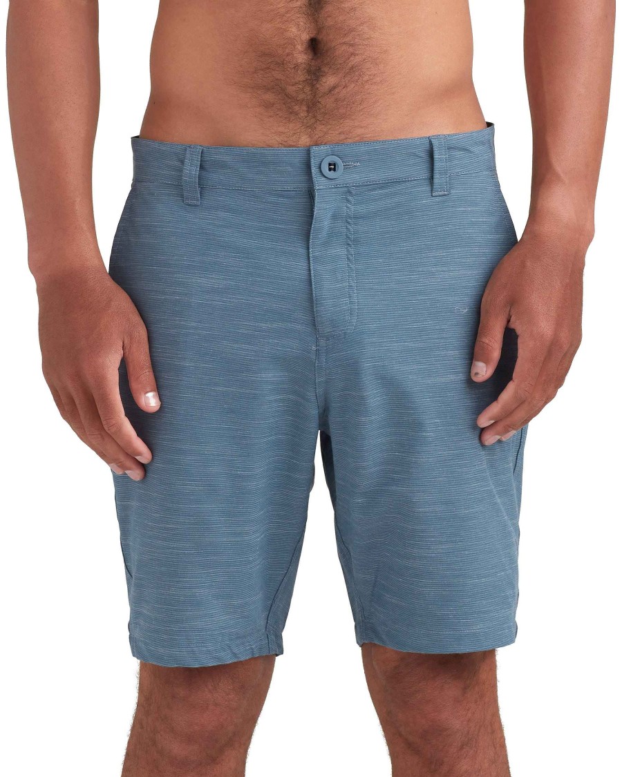 Men Island Daze Shorts | Vacayer 19" Walkshort Blue